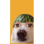 BasicPeep Group