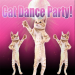 CAT PARTY 2022