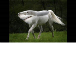 karrrrrrrrrrrrrrrrrrrrrrrrrrrrrrrrrrrr