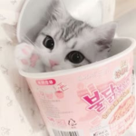 Cutie Patootie<3