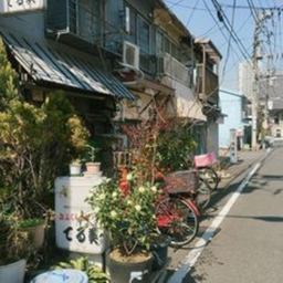 ✿
