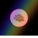 Marble Rose dance Company