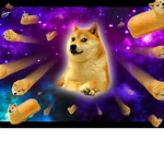 twinkie doge force