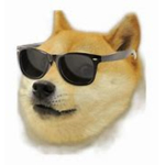 king's doge group
