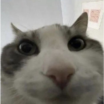 AAAAAAAHHHHHHH