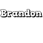 BrandonMind Studios