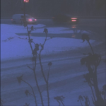 Anti Solar Solar Club