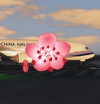 China Airlines Virtual ~ Flying the flag of Taiwan
