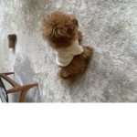 Pups group!||<3
