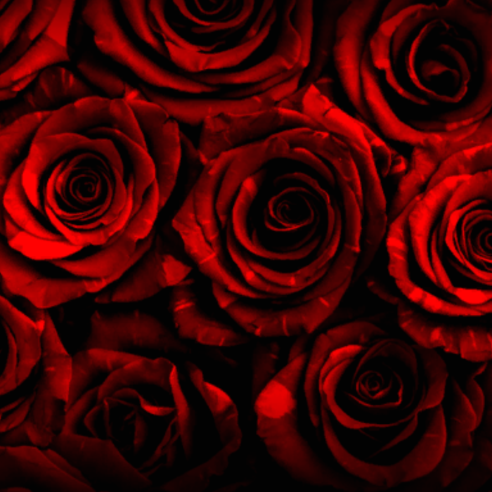 Gothic red roses