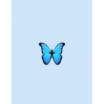 Theogbluebutterflies