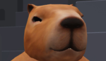 Time for me and you to be a capybara