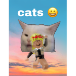 cats :DDD