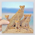 The Roblox Cheetah