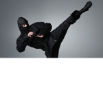 T ninja