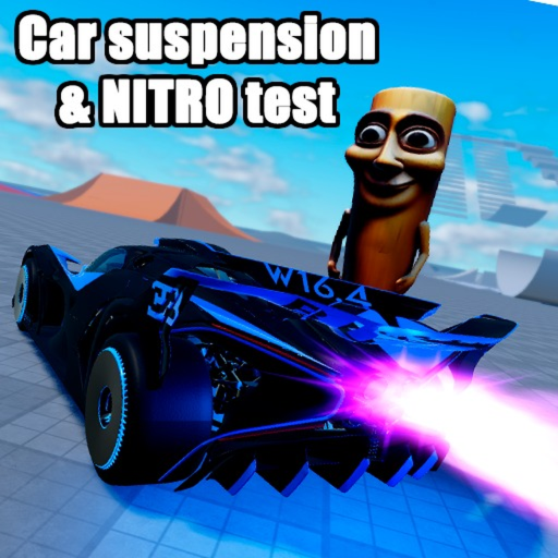 Car Suspension & NITRO Test