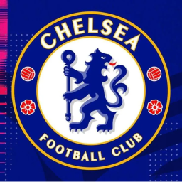 Chelsea Public Pitch