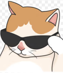 ###### adopt me