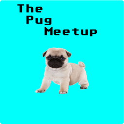 The pug planning room