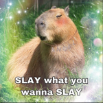 Caby slay group