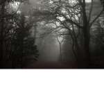 woodvale hills