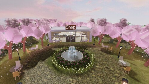 The Sunset Coffee Shop