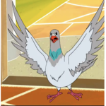 Bird school!
