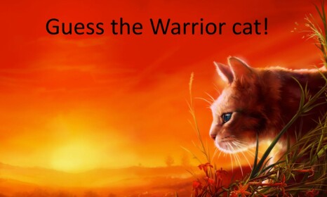 Guess the warrior cat 