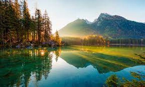 Nature(Beta)