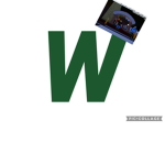 W systems