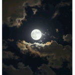 moon glow group