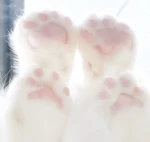 pawstry ୨୧ Group Thumbnail