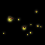 Lightning_bugs