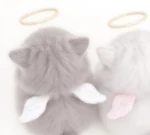 mewwi Group Thumbnail