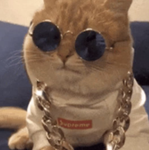 True roblox group