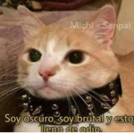 Amigos de Foxy :D