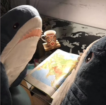 Sophi’s Babysharksꨄ
