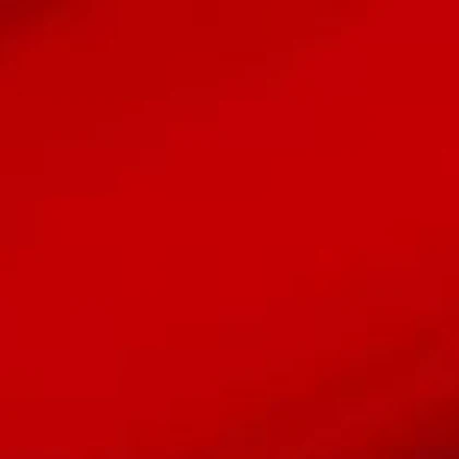 rwlity Roblox group icon