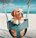 {LOVE DOGS}