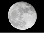 The White Moon