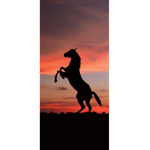 horse galaxy