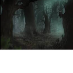 Hollow woods