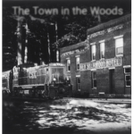 The Town in the Woods