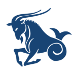 Capricorn Games Inc.
