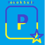 Polskoski Studio