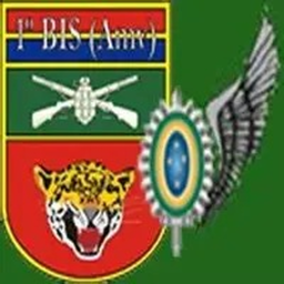 1°BIS Batalhão de Infantaria de Selva icon