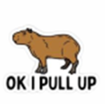 Capybara Fan Group!!!