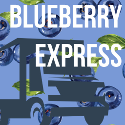 BlueBerry Express