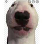 Love walter
