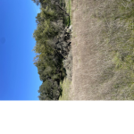 Roblox..xSophie…x